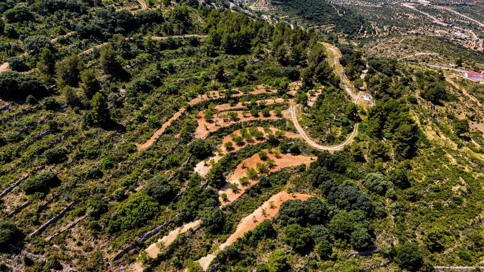 Bauplatz zu verkaufen in Sierra Engarceran - 899.000 € (Ref: 9145402)