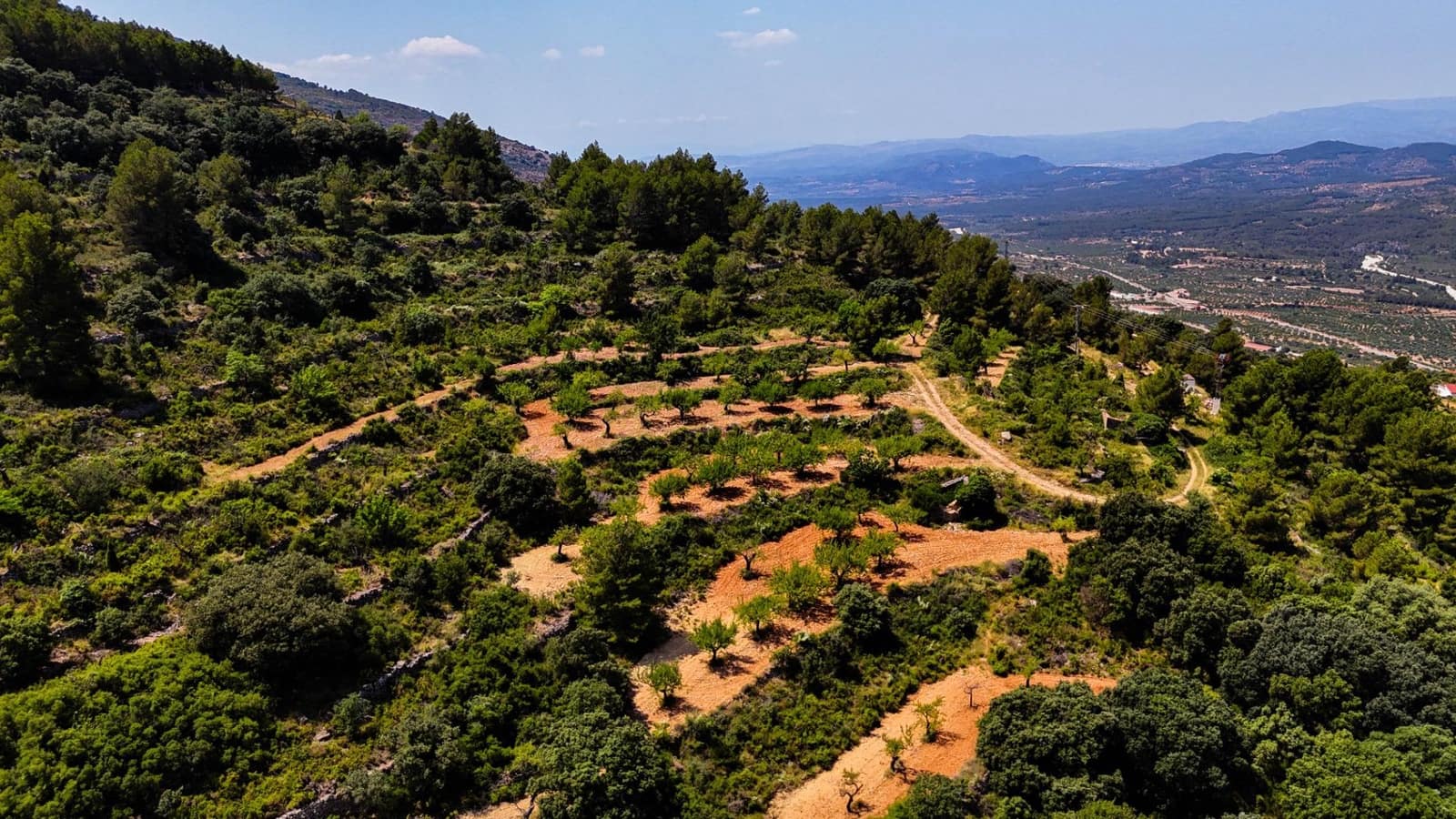 Bauplatz zu verkaufen in Sierra Engarceran - 899.000 € (Ref: 9145402)