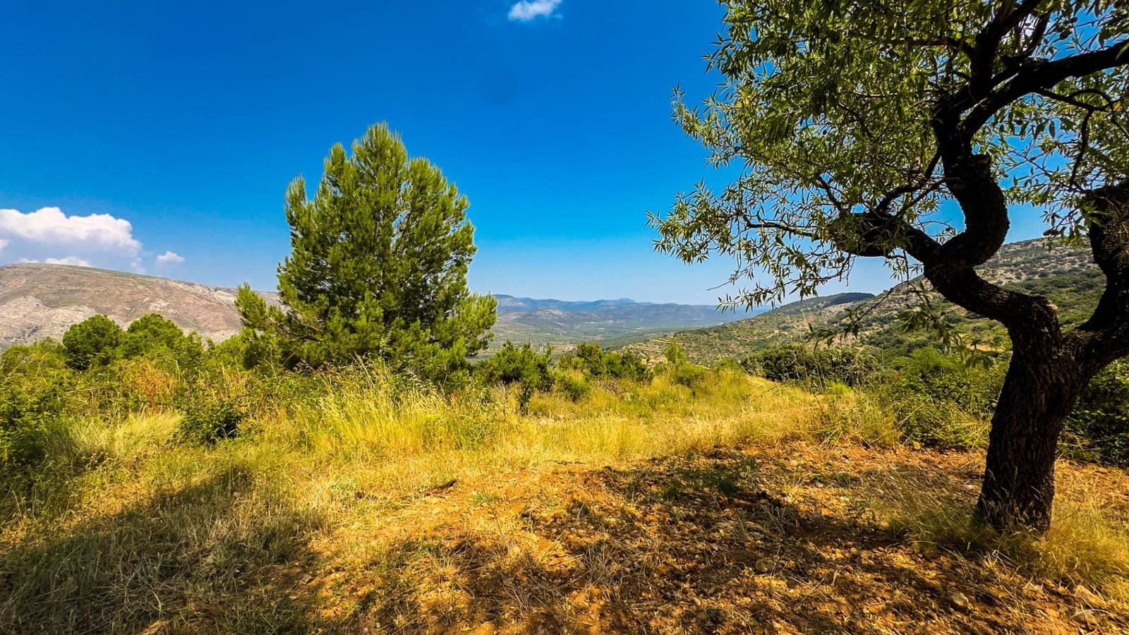 Bauplatz zu verkaufen in Sierra Engarceran - 899.000 € (Ref: 9145402)