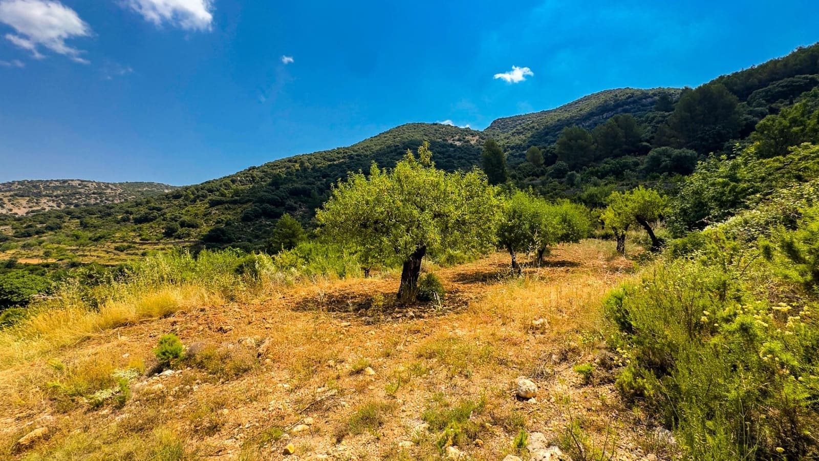 Bauplatz zu verkaufen in Sierra Engarceran - 899.000 € (Ref: 9145402)