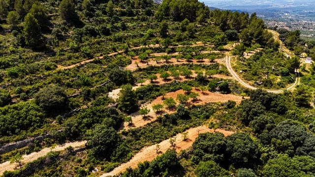 Tomt till salu i Sierra Engarcerán - 899 000 € (Ref: 9145402)