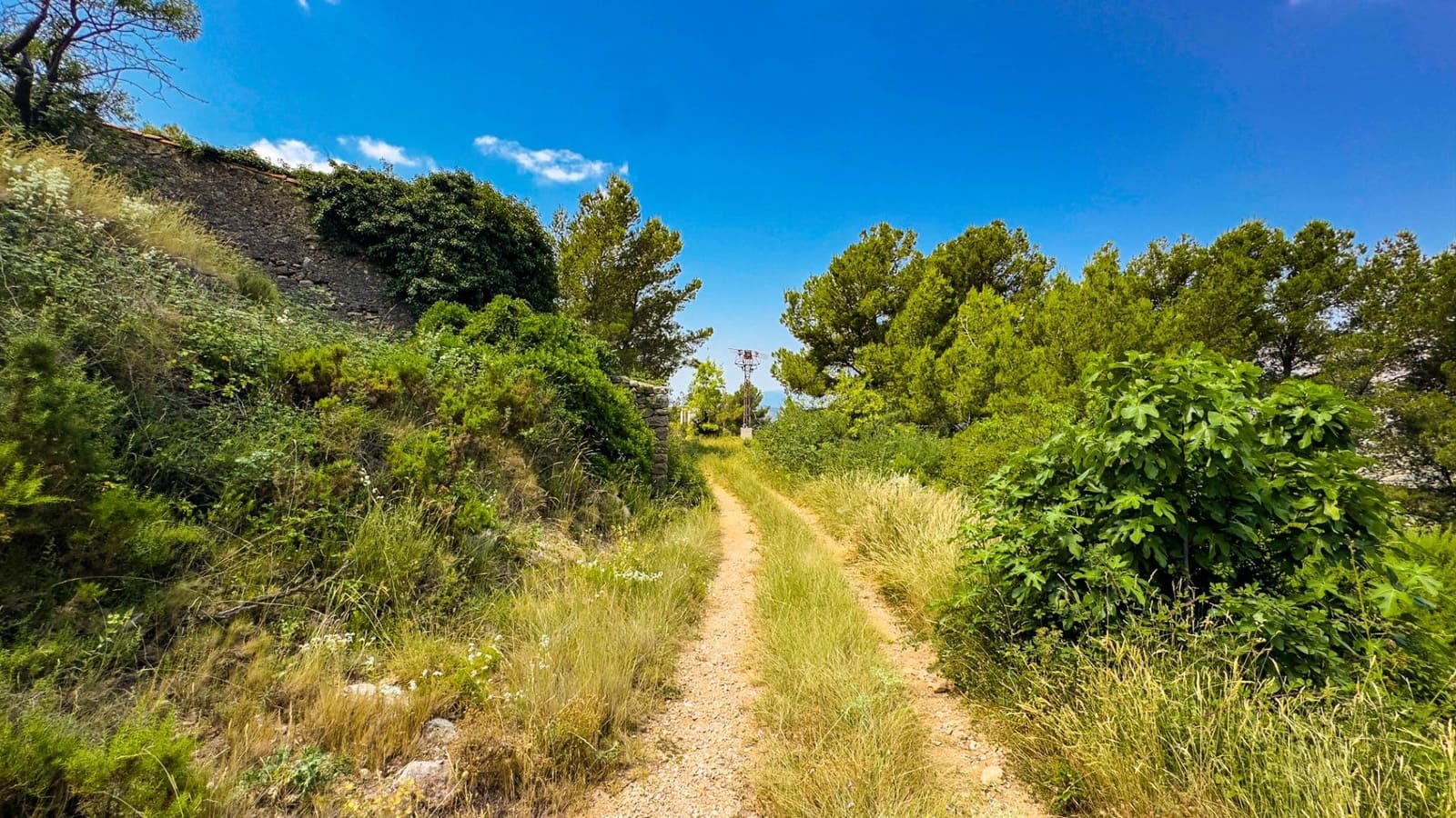 Bauplatz zu verkaufen in Sierra Engarceran - 899.000 € (Ref: 9145402)