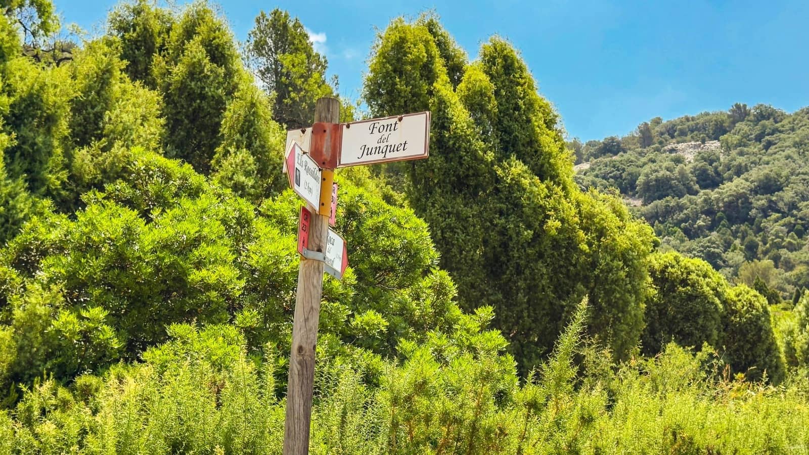 Bauplatz zu verkaufen in Sierra Engarceran - 899.000 € (Ref: 9145402)