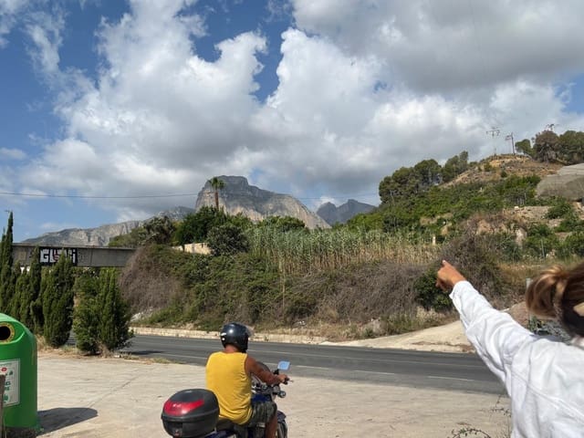 Mark till salu i Polop - 50 000 € (Ref: 9149170)