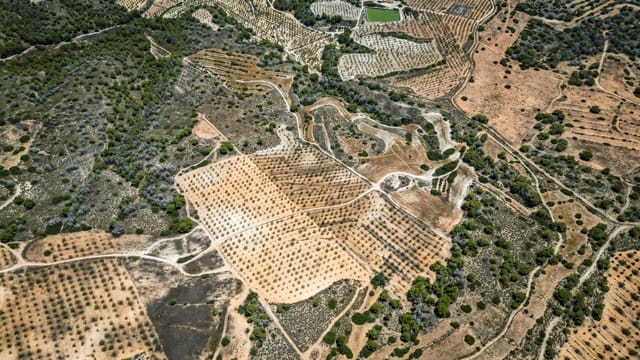 Rakentamaton maa myytävänä paikassa Sucina, Murcia kaupunki - 390 000 € (Ref: 9151840)