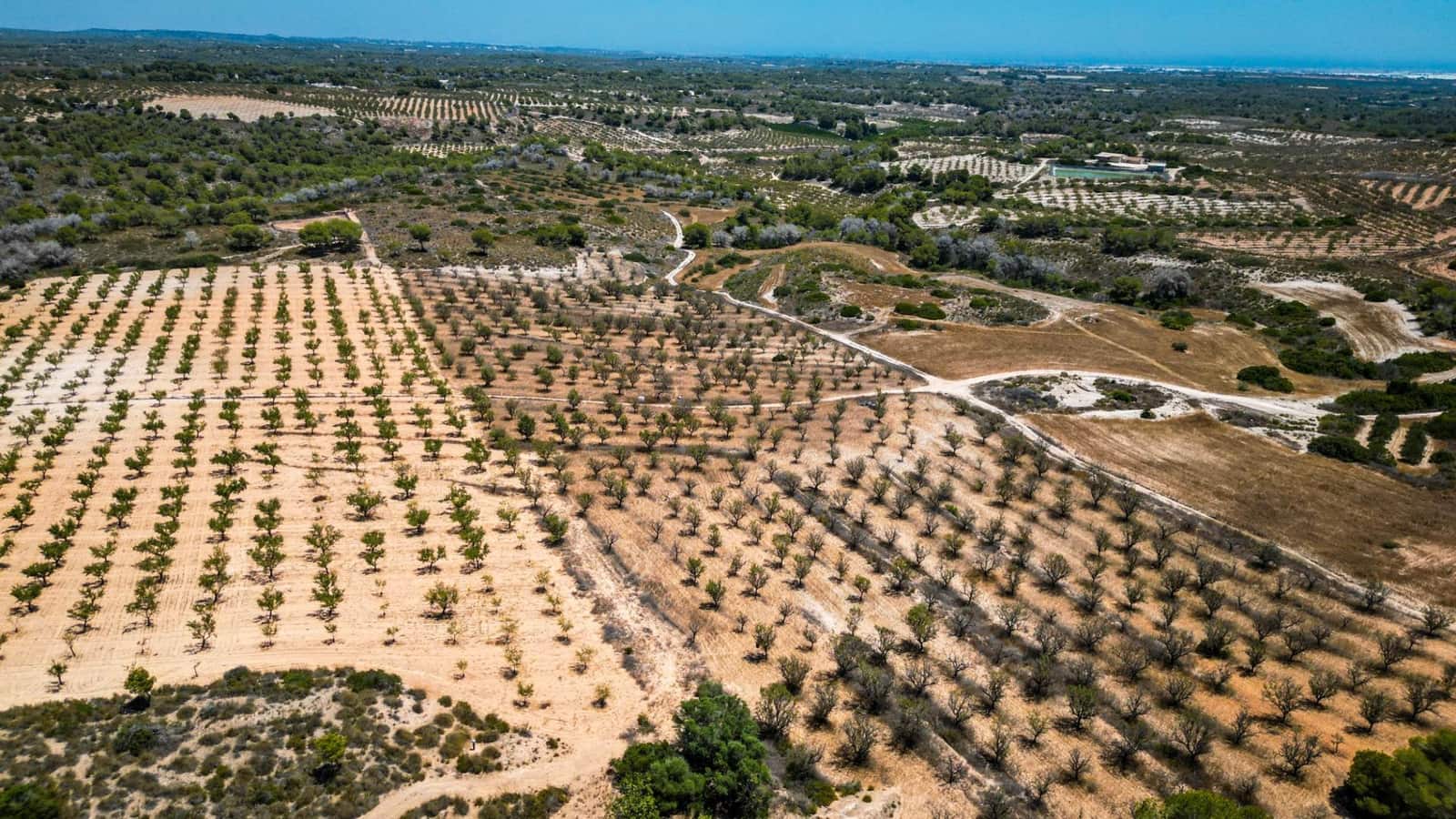 Grond te koop in Sucina - € 390.000 (Ref: 9151840)