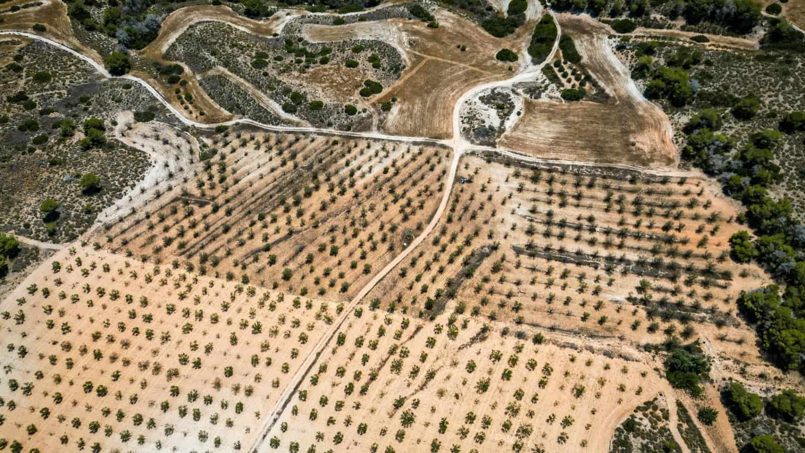 Grond te koop in Sucina - € 390.000 (Ref: 9151840)