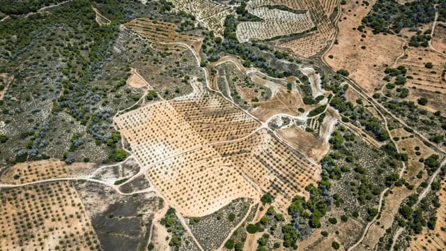 Rakentamaton maa myytävänä paikassa Sucina, Murcia kaupunki - 390 000 € (Ref: 9151840)