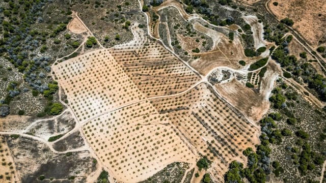 Rakentamaton maa myytävänä paikassa Sucina, Murcia kaupunki - 390 000 € (Ref: 9151840)