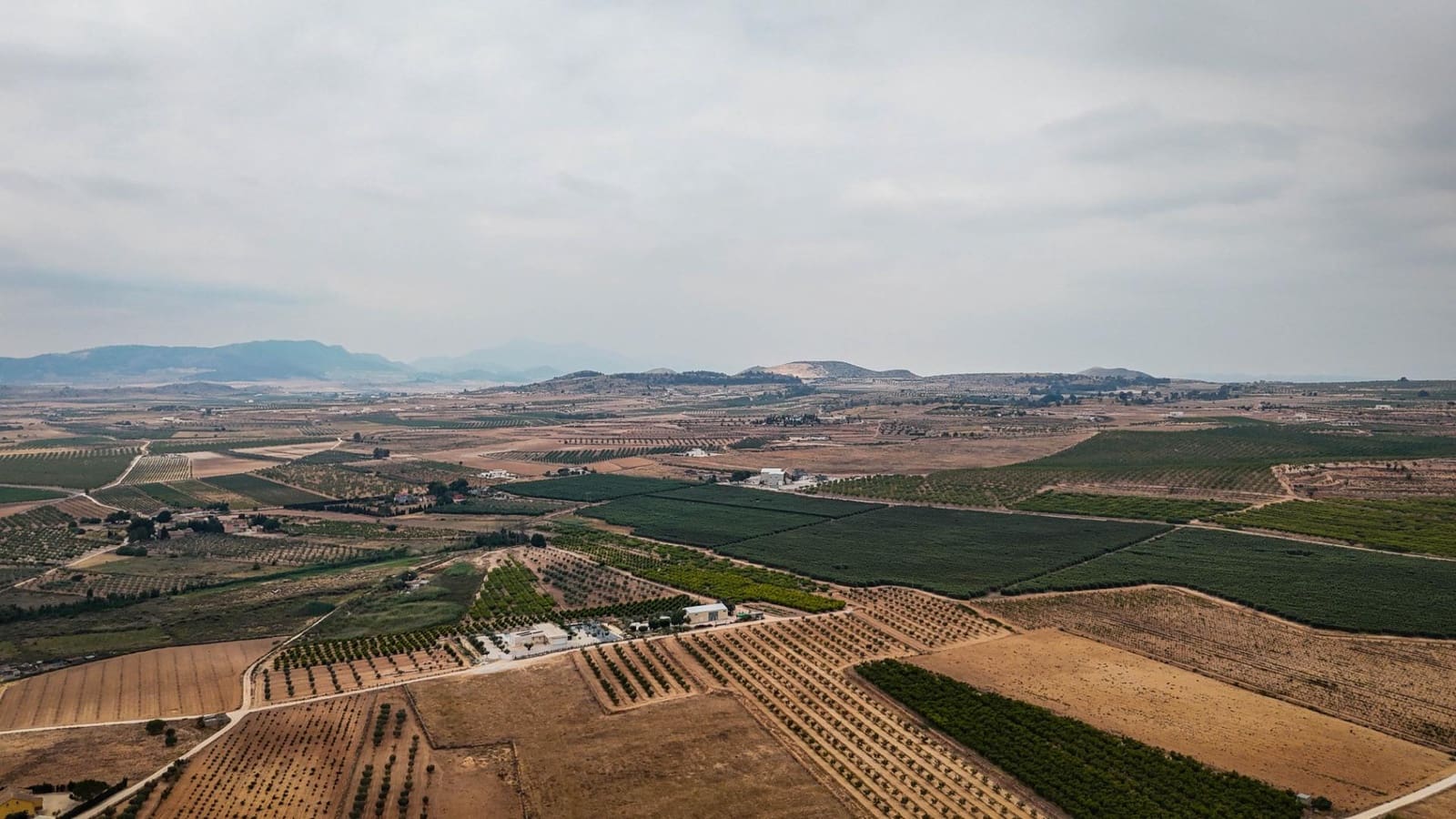 Mark till salu i Pinoso - 97 000 € (Ref: 9185292)