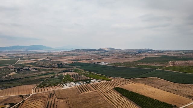 Terreno/Finca Rústica en Pinoso en venta - 97.000 € (Ref: 9185292)