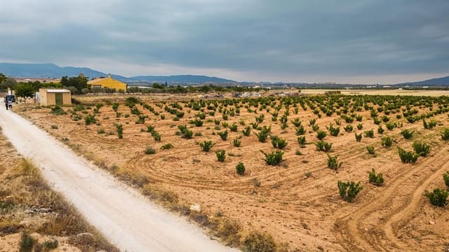 Terreno/Finca Rústica en Pinoso en venta - 97.000 € (Ref: 9185292)