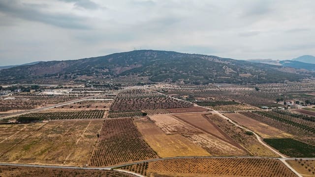 Terreno/Finca Rústica en Pinoso en venta - 97.000 € (Ref: 9185292)