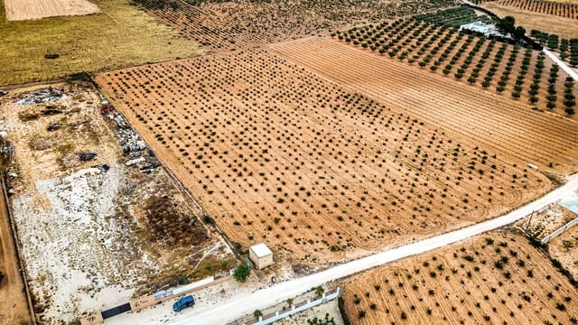 Terreno/Finca Rústica en Pinoso en venta - 97.000 € (Ref: 9185292)