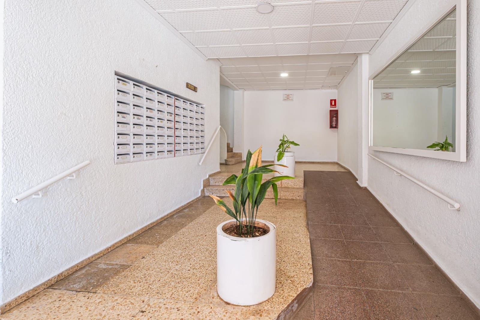 1 makuuhuone Huoneisto vuokrattavana paikassa Arenal - 795 € (Ref: 9191012)