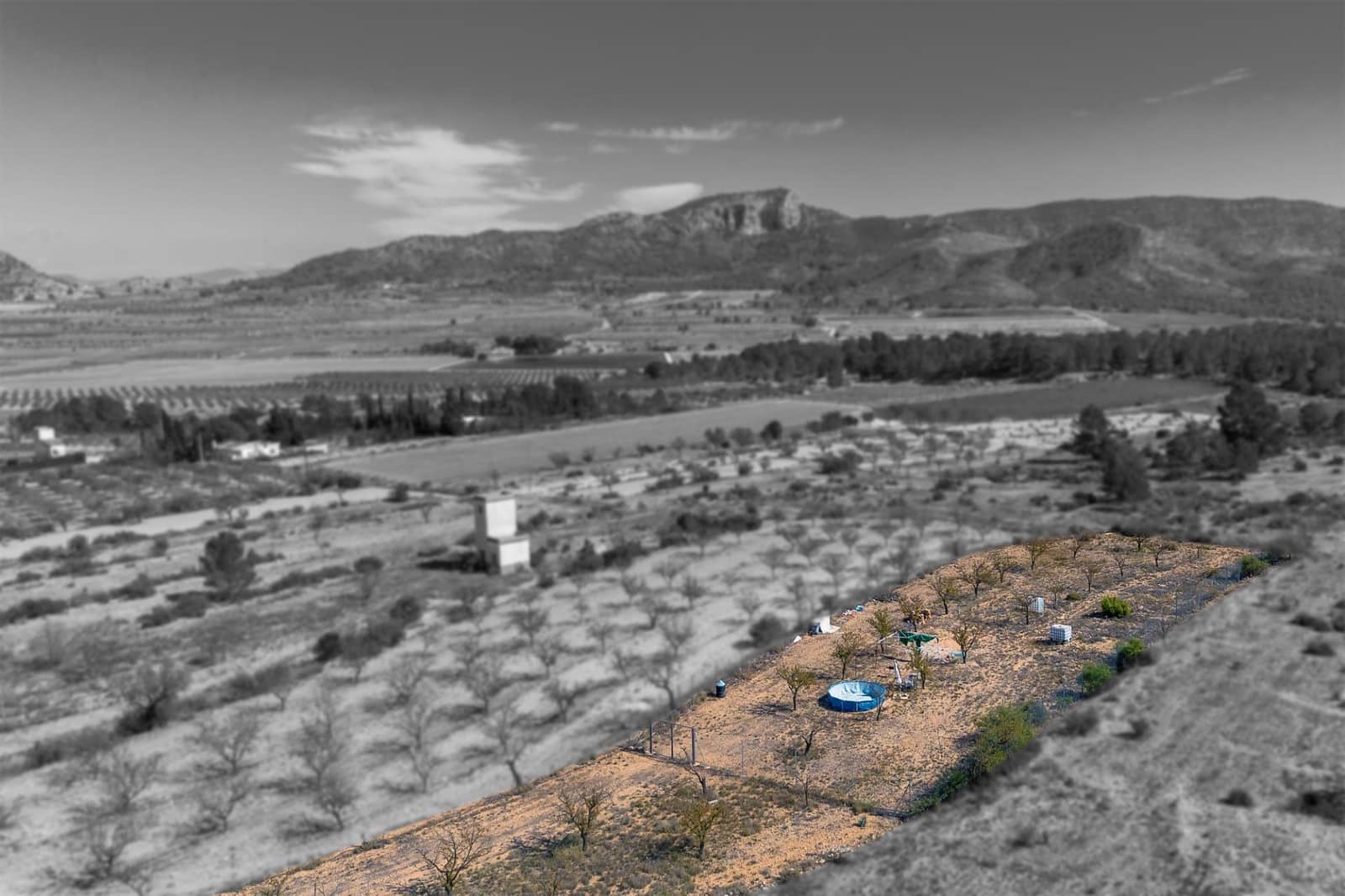 Grond te koop in Monovar / Monover - € 17.000 (Ref: 9303432)