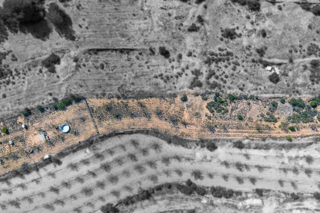 Mark till salu i Monóvar / Monóver - 17 000 € (Ref: 9303432)