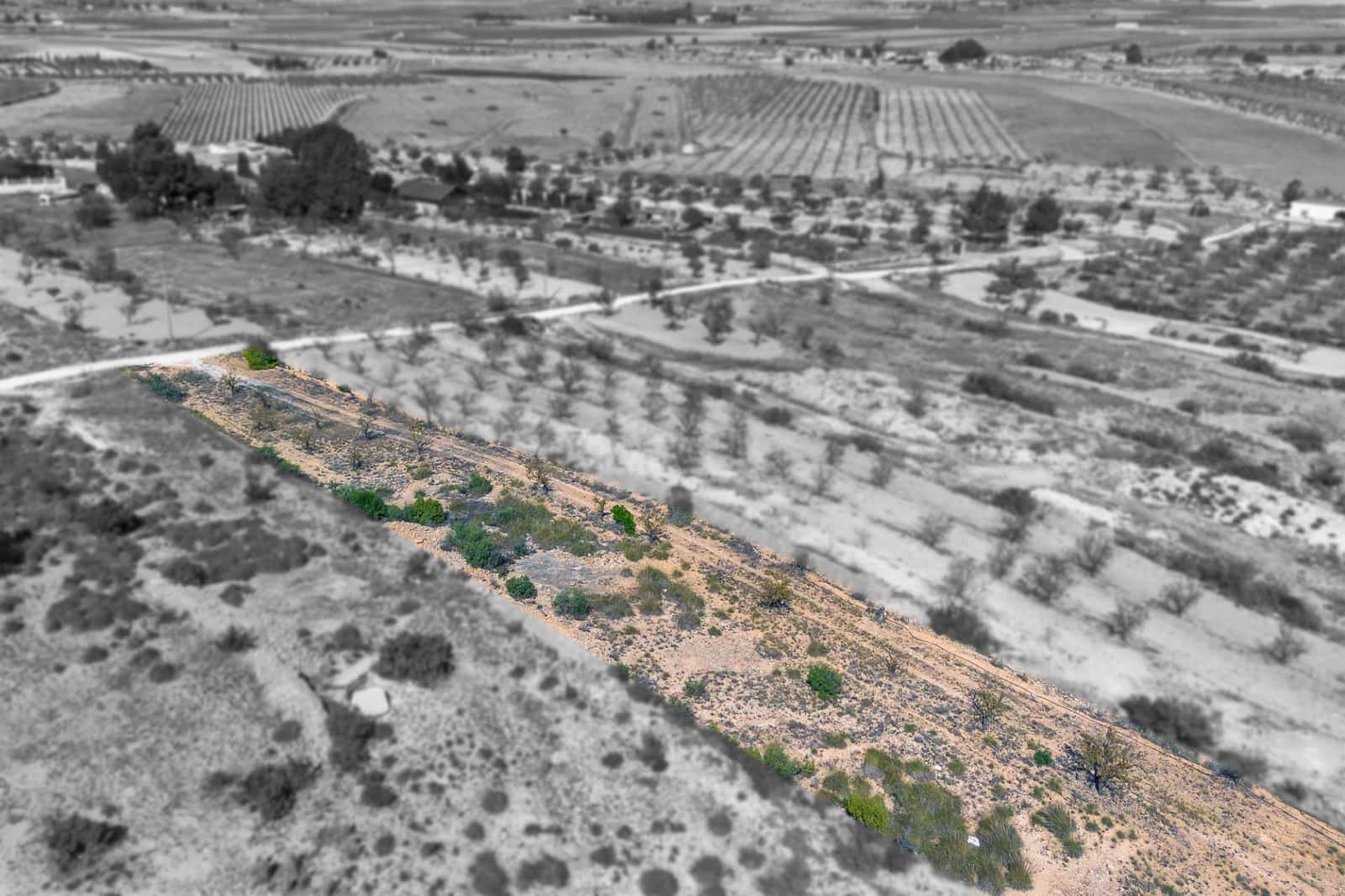 Grond te koop in Monovar / Monover - € 17.000 (Ref: 9303432)