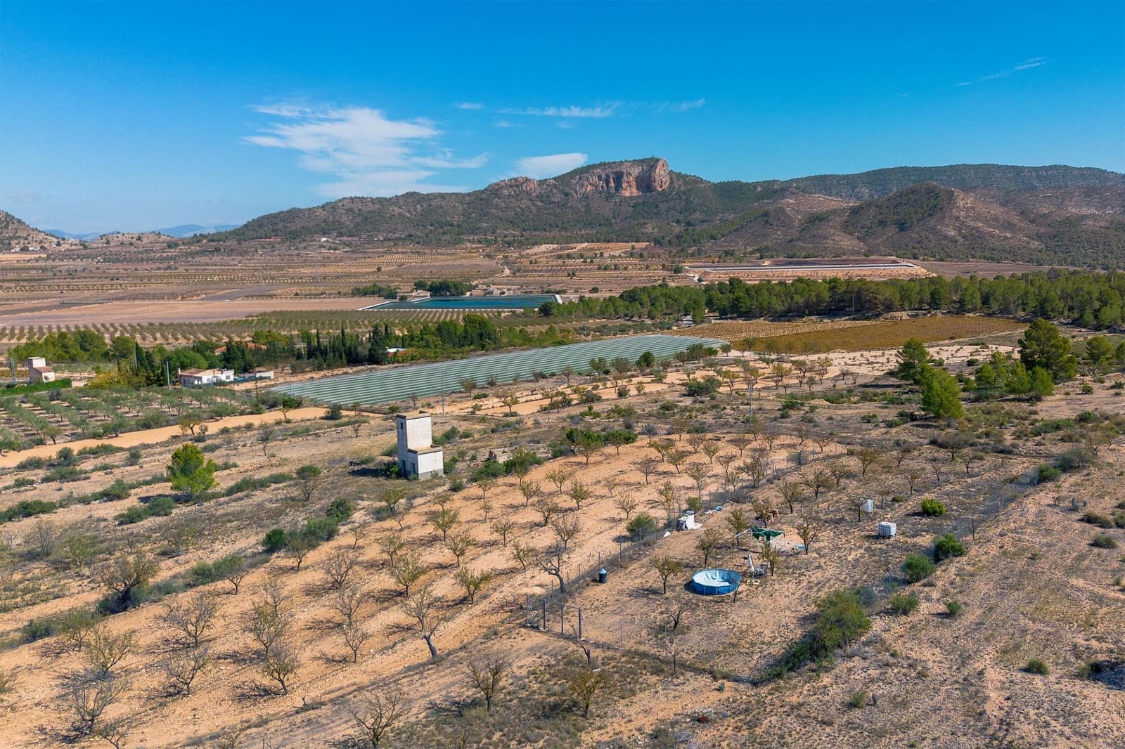 Grond te koop in Monovar / Monover - € 17.000 (Ref: 9303432)