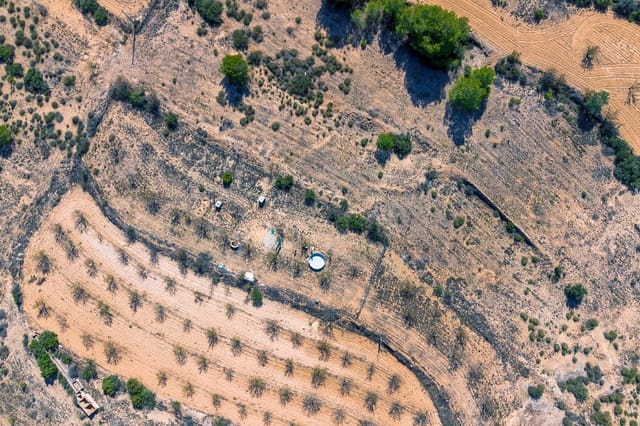 Mark till salu i Monóvar / Monóver - 17 000 € (Ref: 9303432)