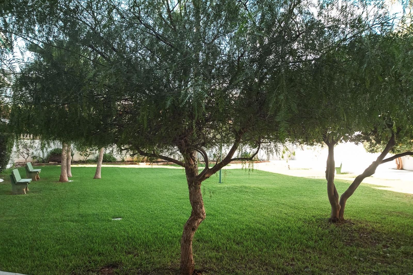 Biznes do wynajęcia w Denia - 1 750 € (Ref: 9337967)