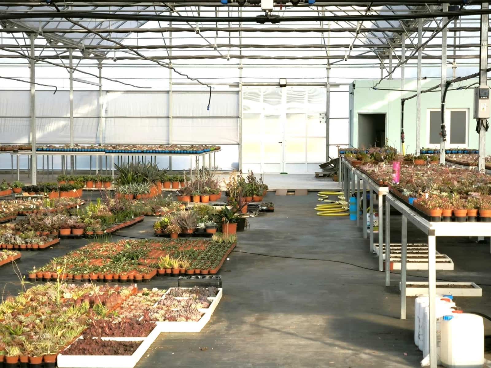 Grunde uden byggetilladelser til salg i Las Bayas - € 360.000 (Ref: 9360599)