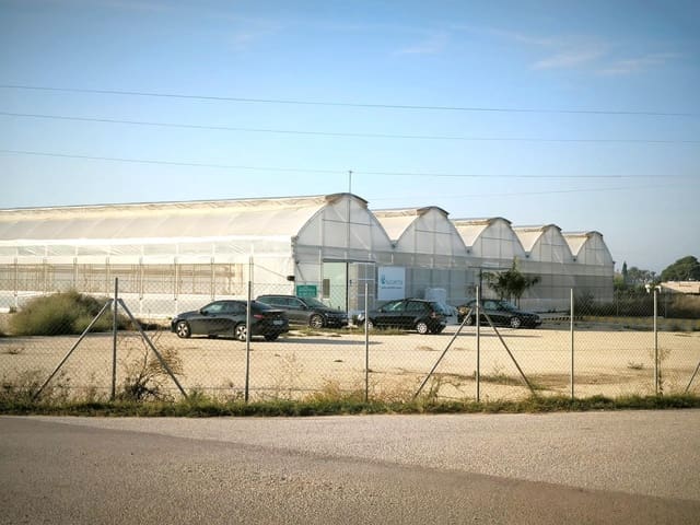 Grunde uden byggetilladelser til salg i Las Bayas, Elche / Elx - € 360.000 (Ref: 9360599)