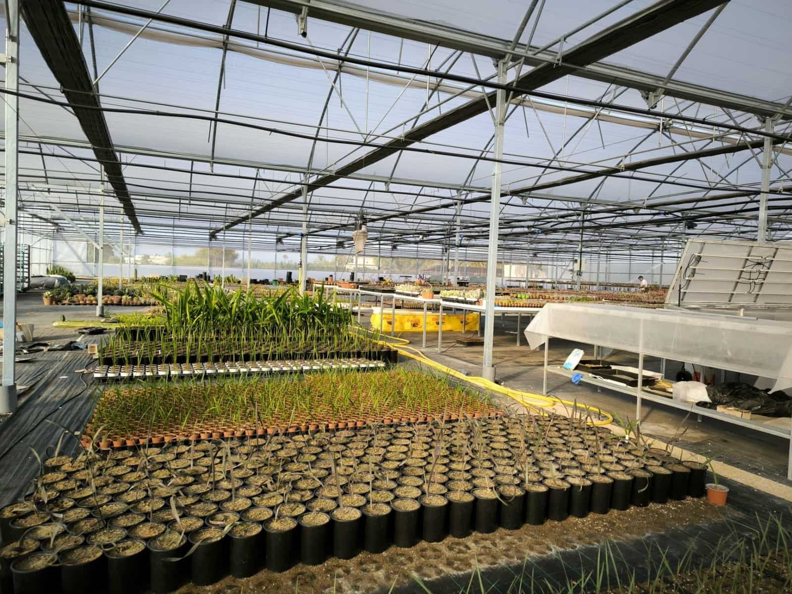 Grunde uden byggetilladelser til salg i Las Bayas - € 360.000 (Ref: 9360599)