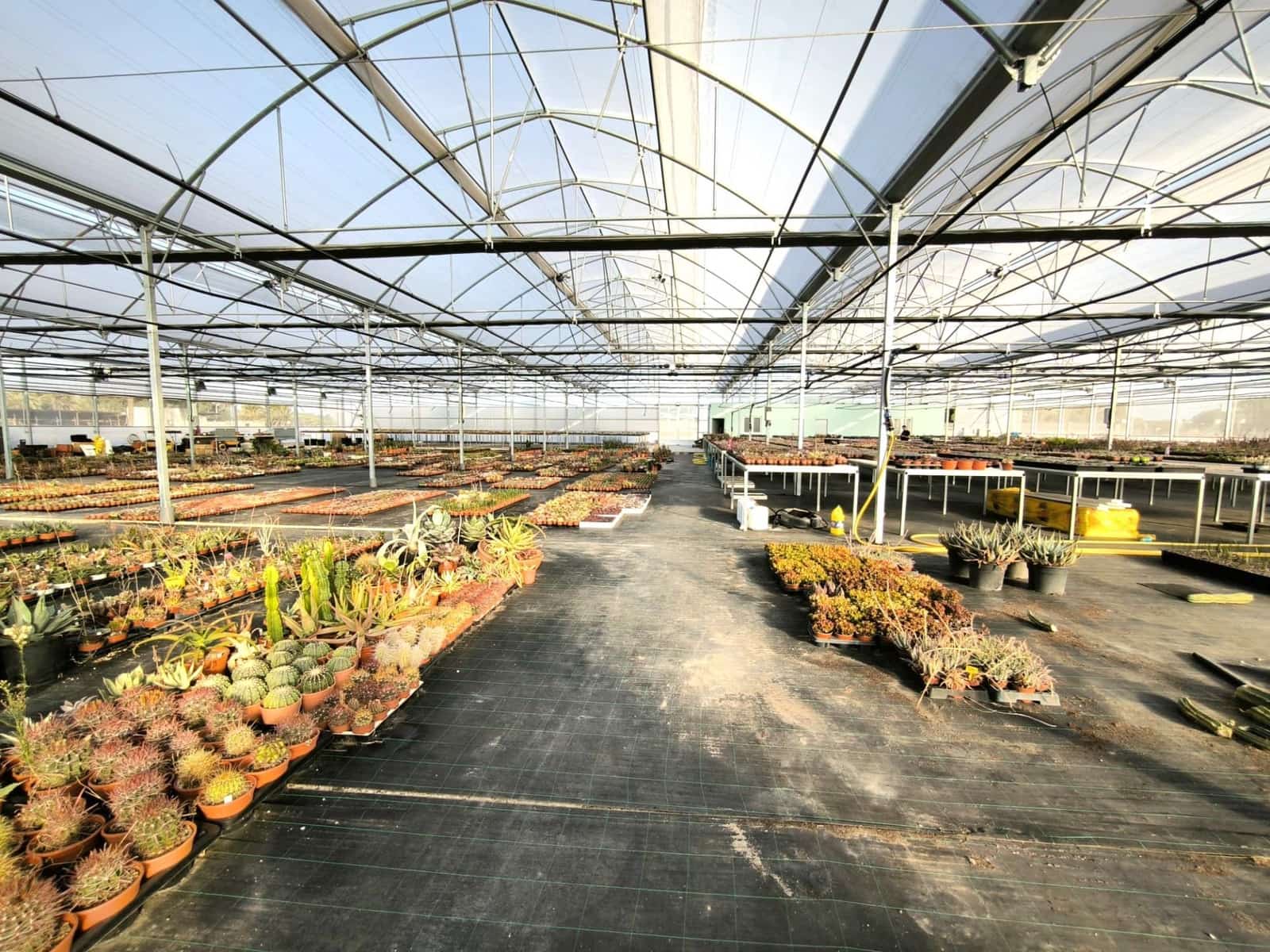 Grunde uden byggetilladelser til salg i Las Bayas - € 360.000 (Ref: 9360599)