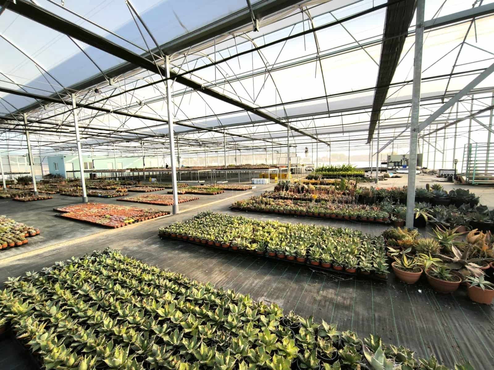 Grunde uden byggetilladelser til salg i Las Bayas - € 360.000 (Ref: 9360599)