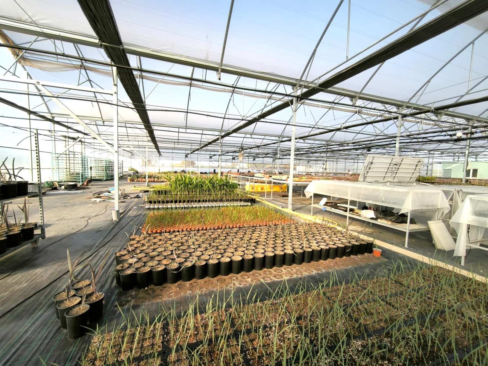 Grunde uden byggetilladelser til salg i Las Bayas - € 360.000 (Ref: 9360599)