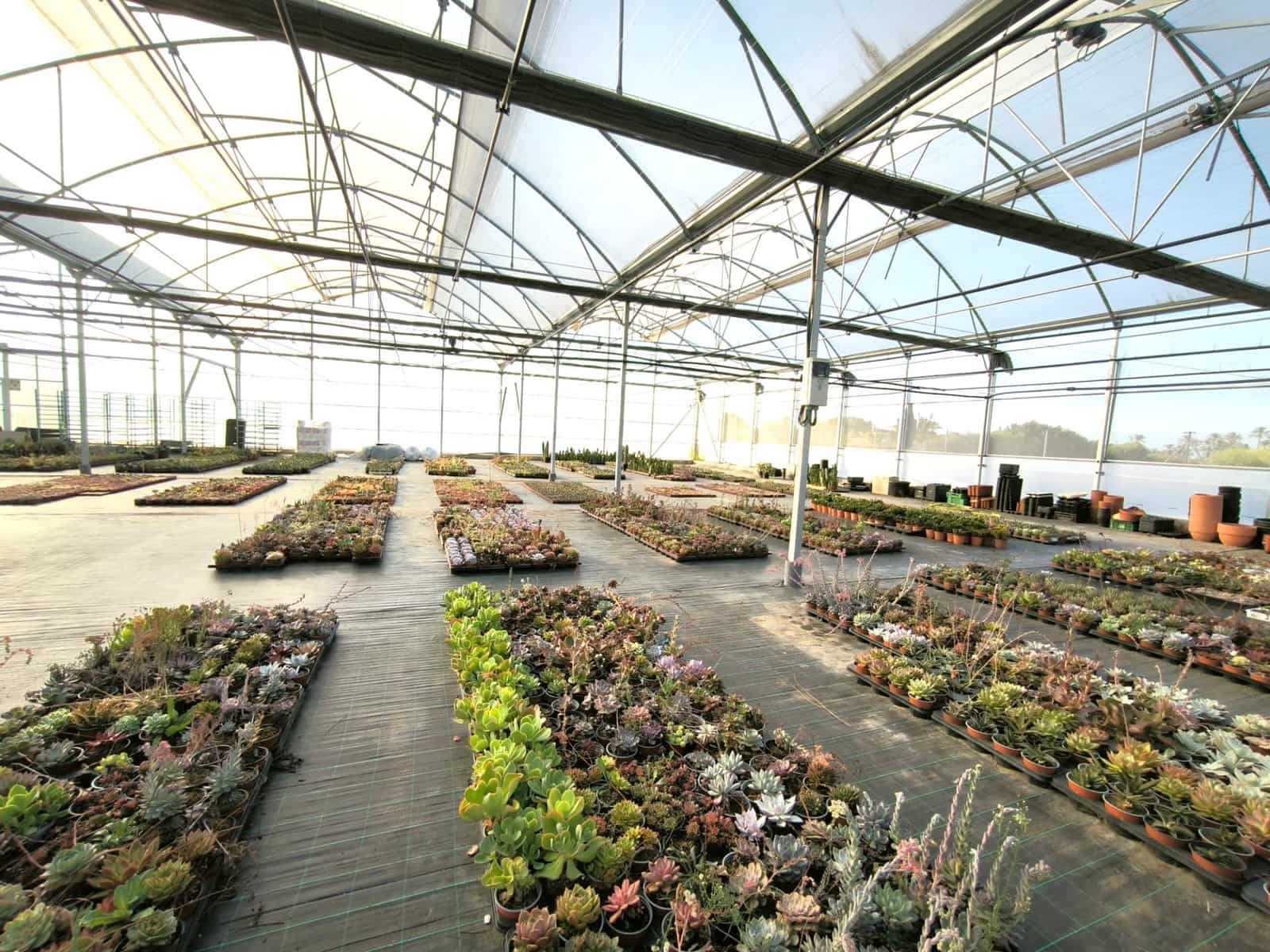 Grunde uden byggetilladelser til salg i Las Bayas - € 360.000 (Ref: 9360599)