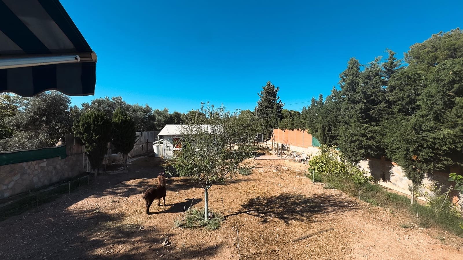 4 chambre Villa/Maison à vendre à San Vicente / Sant Vicent del Raspeig - 425 000 € (Ref: 9362580)