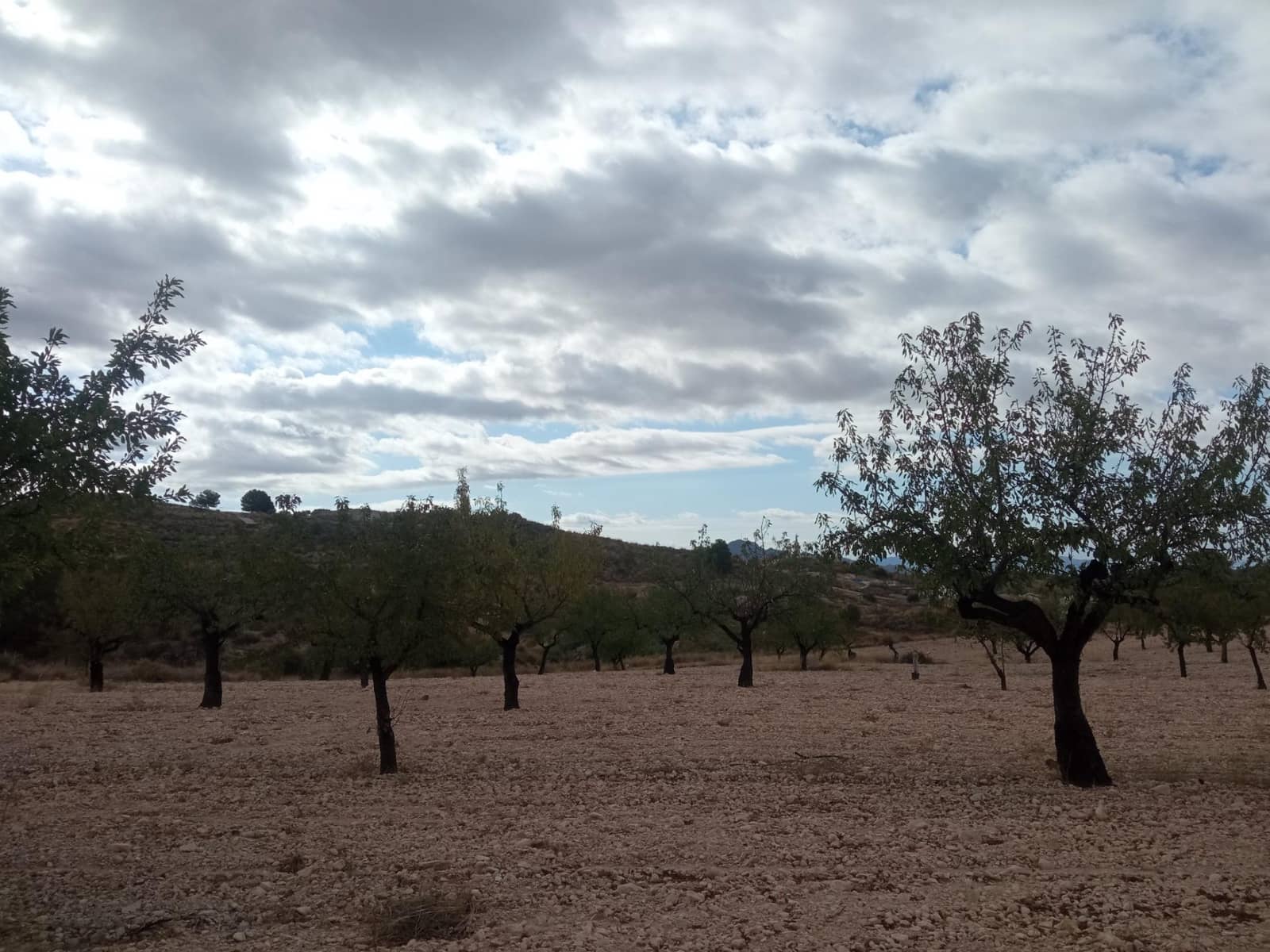 Byggetomt til salgs i Barinas - € 152 000 (Ref: 9382790)