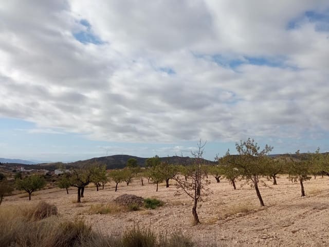 Tomt till salu i Barinas, Abanilla - 152 000 € (Ref: 9382790)