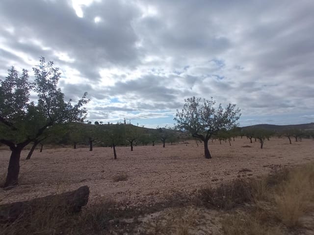 Tomt till salu i Barinas, Abanilla - 152 000 € (Ref: 9382790)