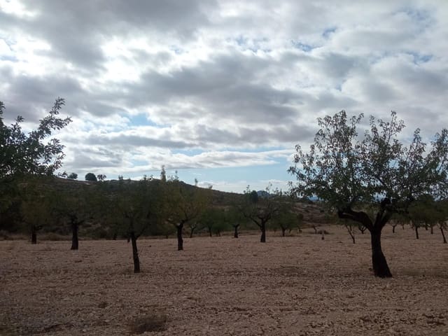 Tomt till salu i Barinas, Abanilla - 152 000 € (Ref: 9382790)