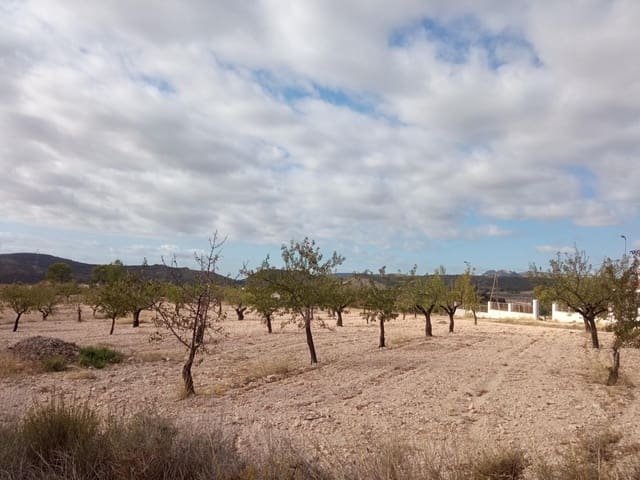 Tomt till salu i Barinas, Abanilla - 152 000 € (Ref: 9382790)