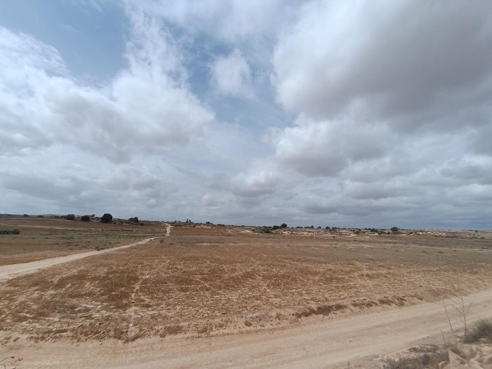 Tomt till salu i Sucina - 1 787 799 € (Ref: 9382791)