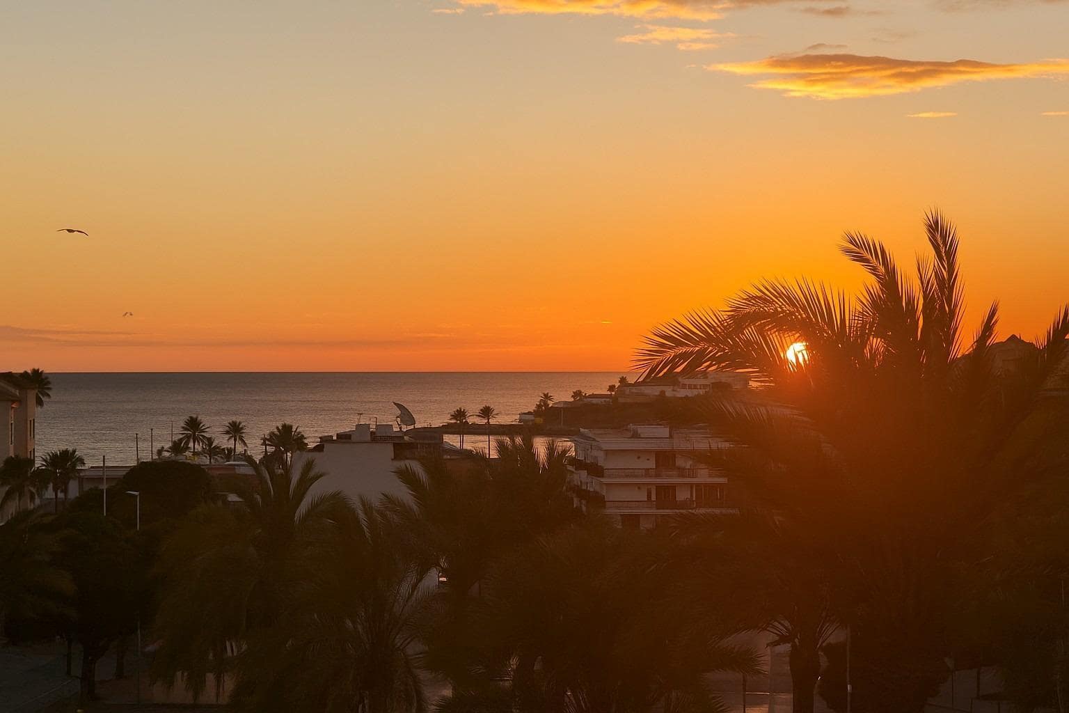 2 soverom Leilighet til salgs i Arenal - € 289 000 (Ref: 9385535)