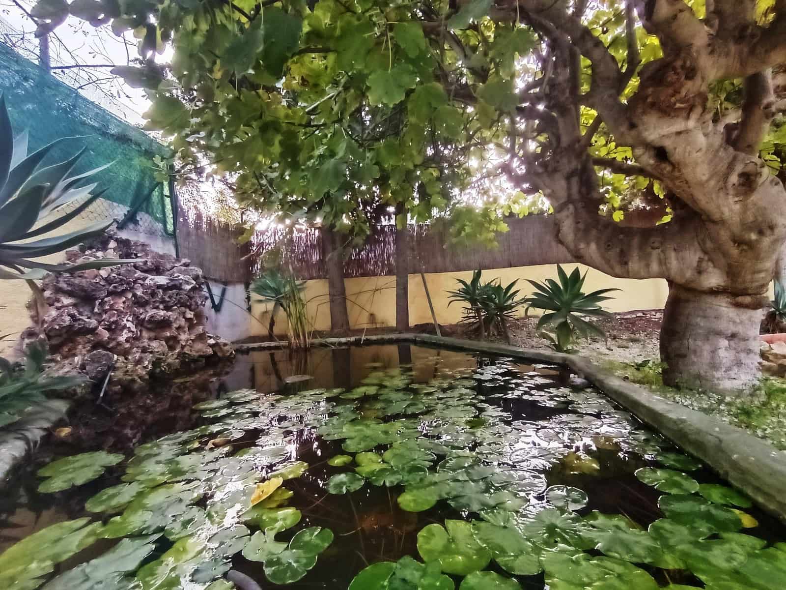 4 soveværelse Villa til salg i Benissa med swimmingpool garage - € 675.000 (Ref: 9427139)