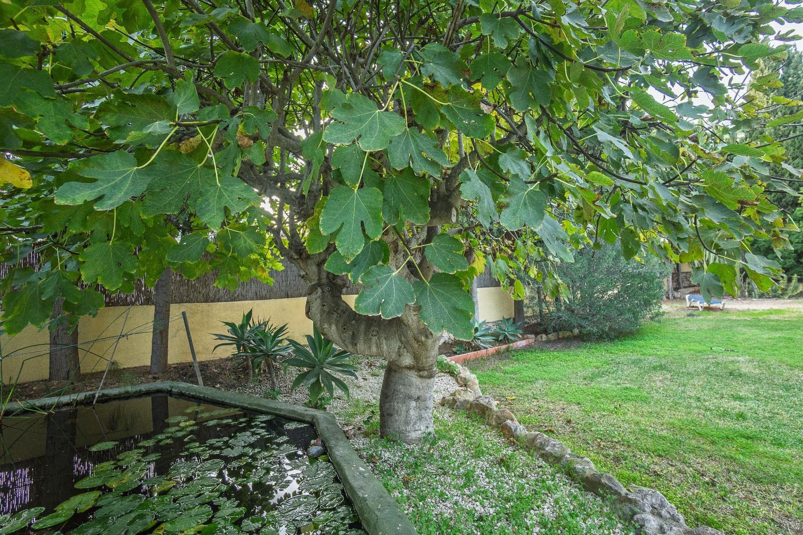 4 soveværelse Villa til salg i Benissa med swimmingpool garage - € 675.000 (Ref: 9427139)