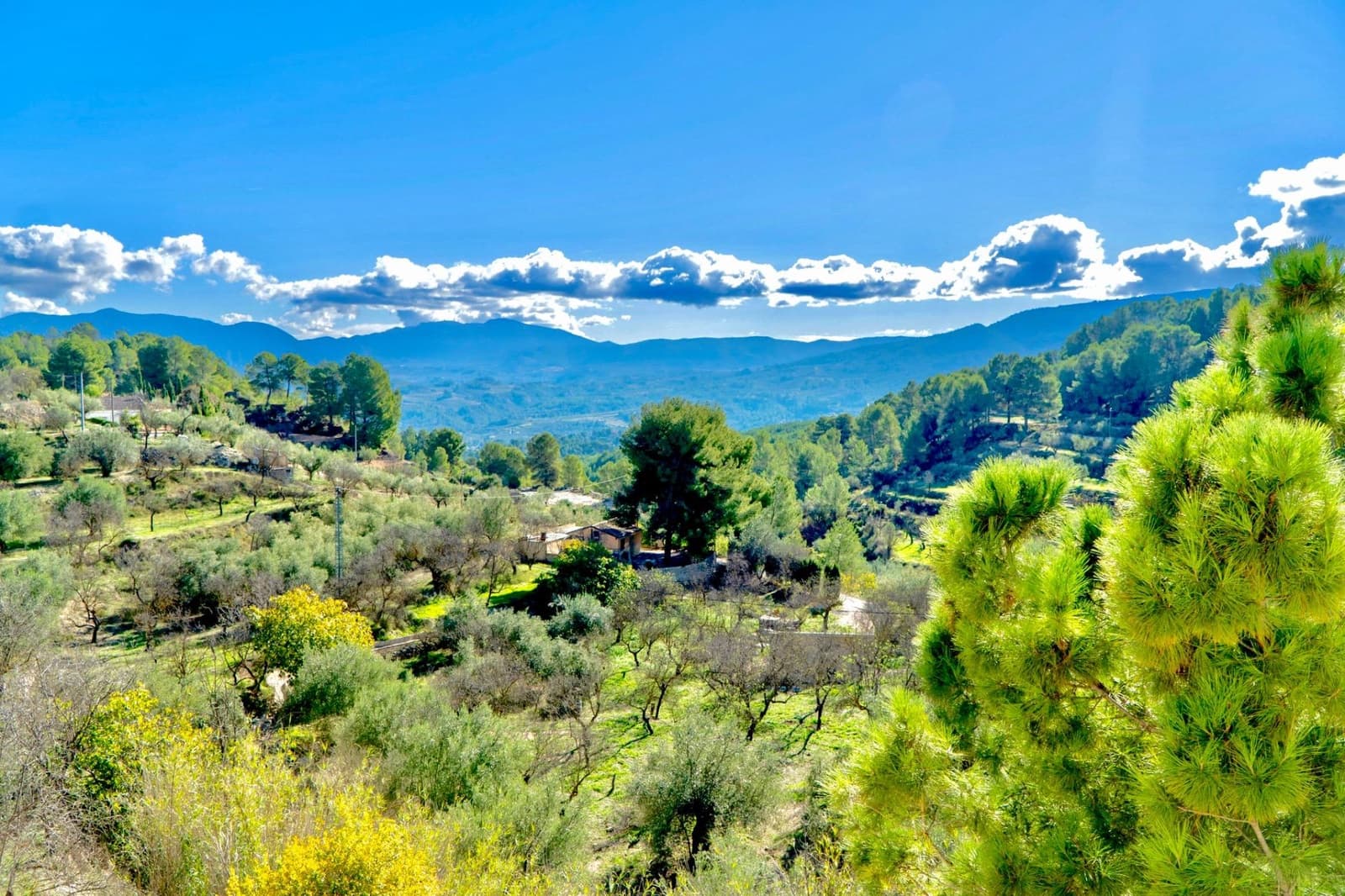 Chalet de 3 habitaciones en Cocentaina en venta con piscina garaje - 750.000 € (Ref: 9446287)