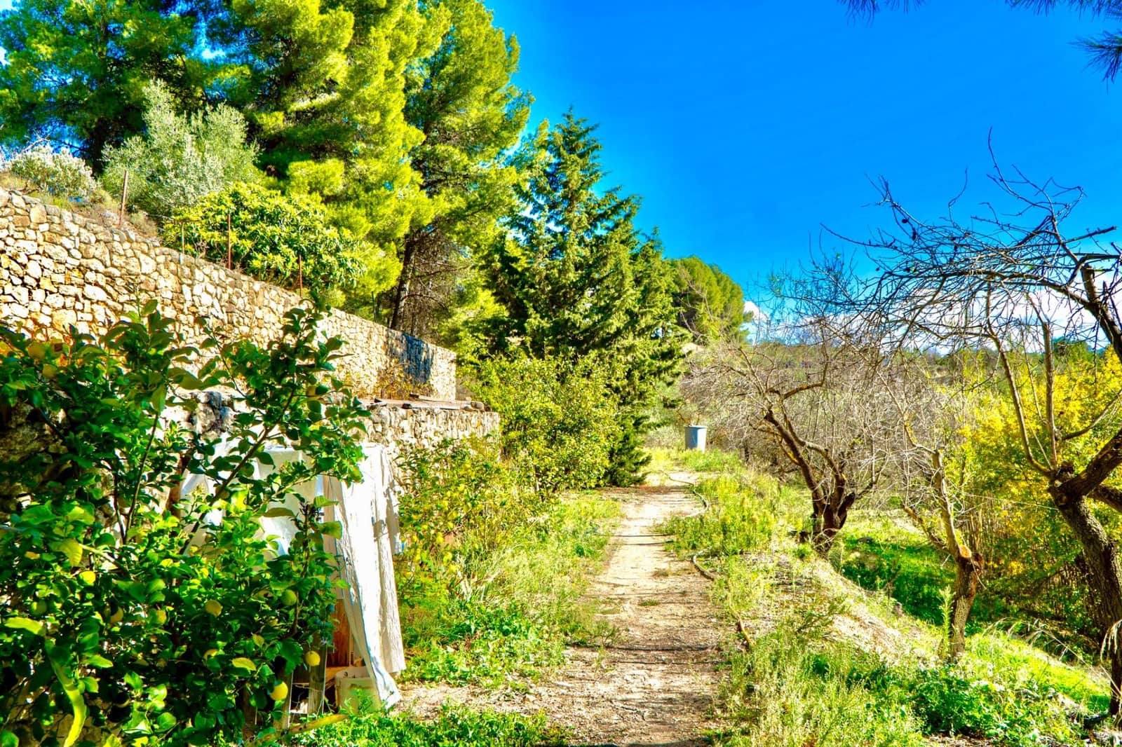 Chalet de 3 habitaciones en Cocentaina en venta con piscina garaje - 750.000 € (Ref: 9446287)