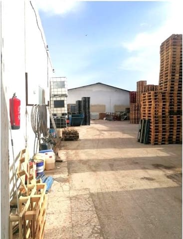 Negocio en Dolores en venta - 99.000 € (Ref: 9456194)