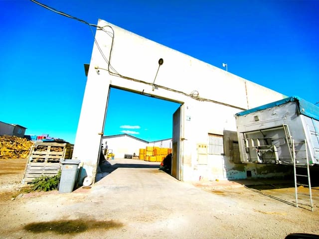 Negocio en Dolores en venta - 99.000 € (Ref: 9456194)