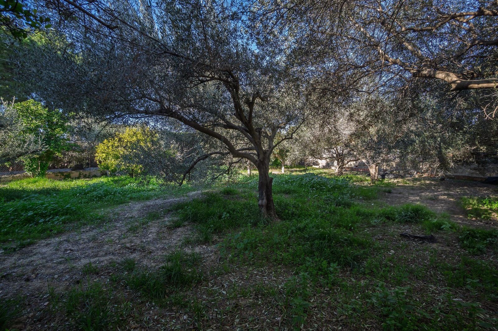 3 quarto Moradia para venda em Elche / Elx com piscina - 435 000 € (Ref: 9543537)