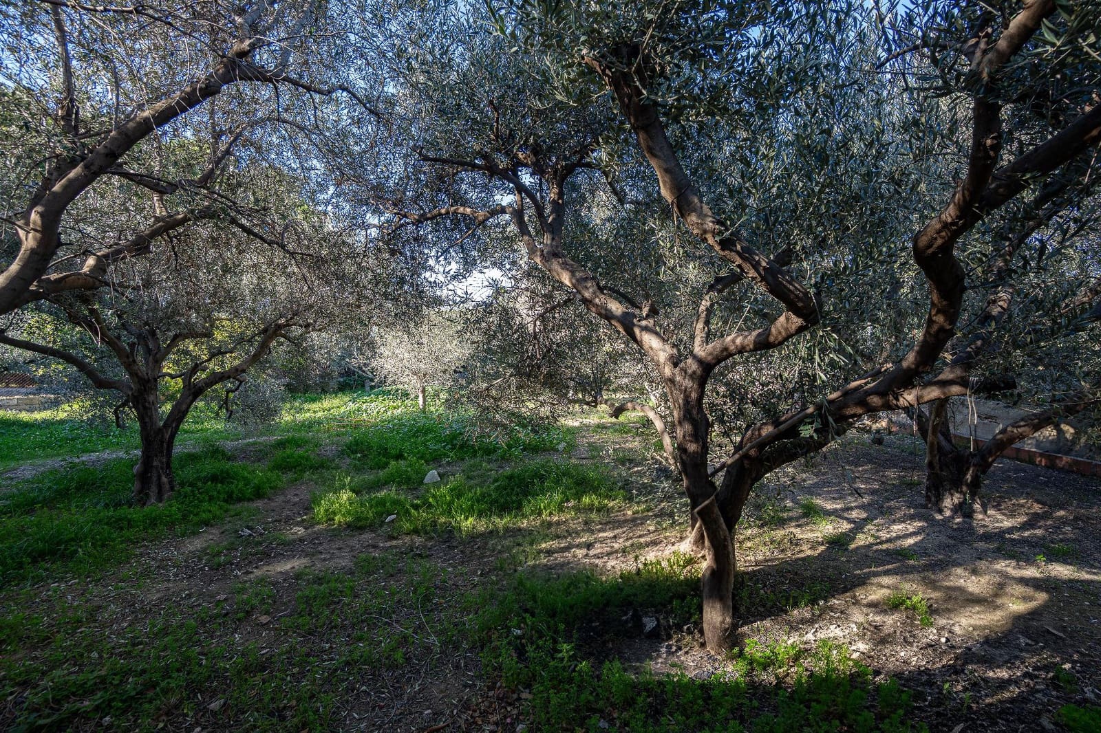 3 quarto Moradia para venda em Elche / Elx com piscina - 435 000 € (Ref: 9543537)