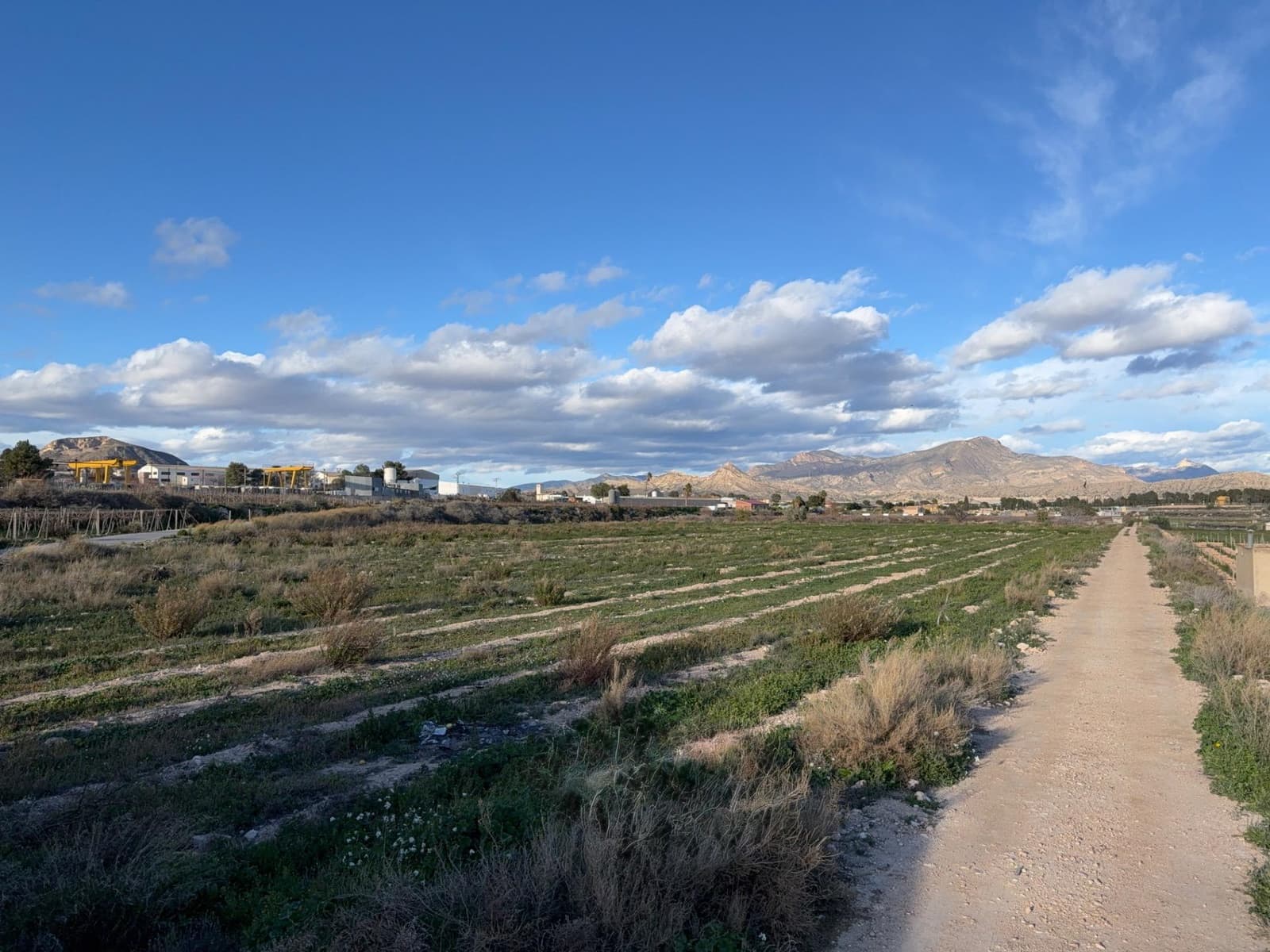 Grunde uden byggetilladelser til salg i Novelda - € 120.000 (Ref: 9568509)