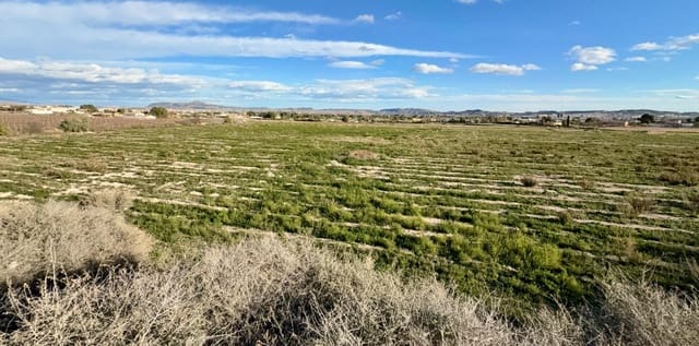 Grunde uden byggetilladelser til salg i Novelda - € 120.000 (Ref: 9568509)